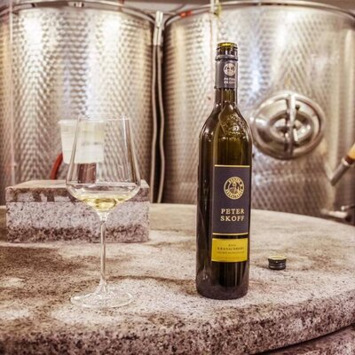 Eine Weinflasche und ein Glas Weißwein in einem Weinkeller mit Edelstahltanks, typisch für das Bed and Breakfast in den Winzerhäusern. (c) Gregor Schiefer