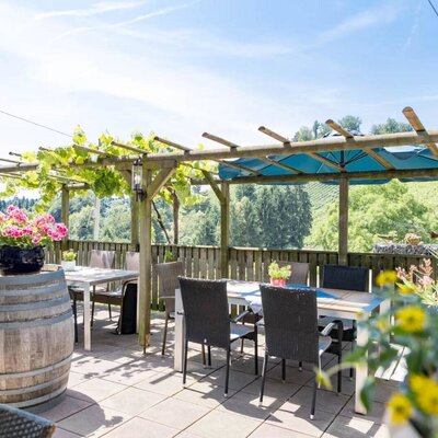 Die Außenterrasse der Buschenschank mit Sitzgelegenheiten unter einer Weinpergola und einem Weinfass, bietet einen Ausblick auf die Weinberge und Hügel.
