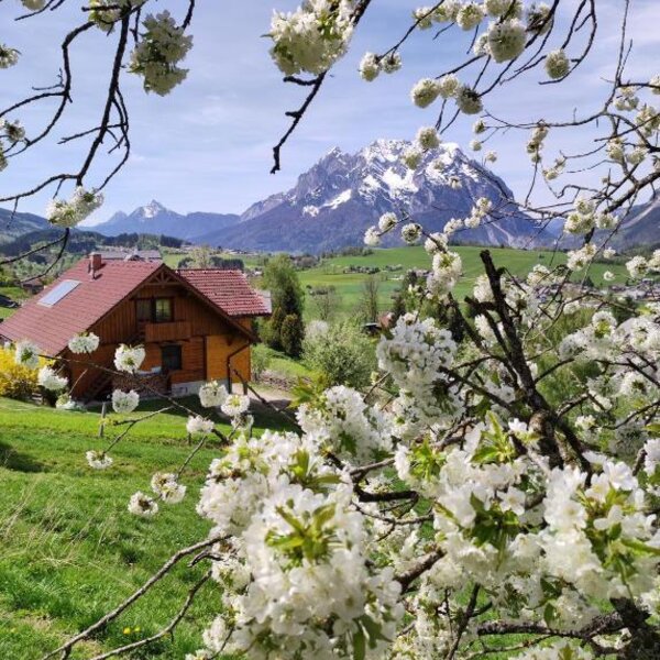 Das Bed and Breakfast mit roten Dächern und einem Balkon, umgeben von grünen Wiesen und weißen Blüten, mit schneebedeckten Bergen im Hintergrund.