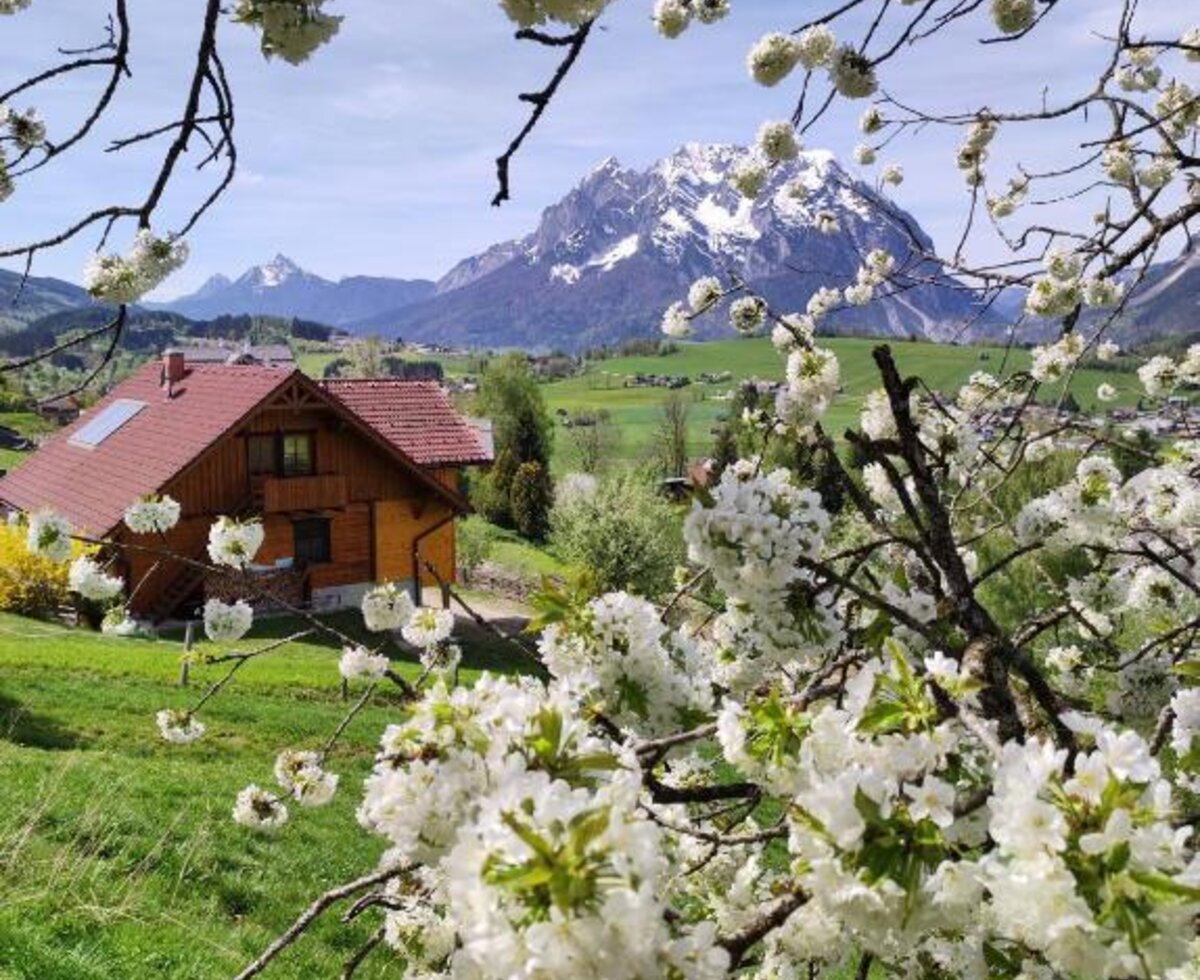Das Ferienhaus mit roten Dächern und einem Balkon, umgeben von grünen Wiesen und weißen Blüten, mit schneebedeckten Bergen im Hintergrund.