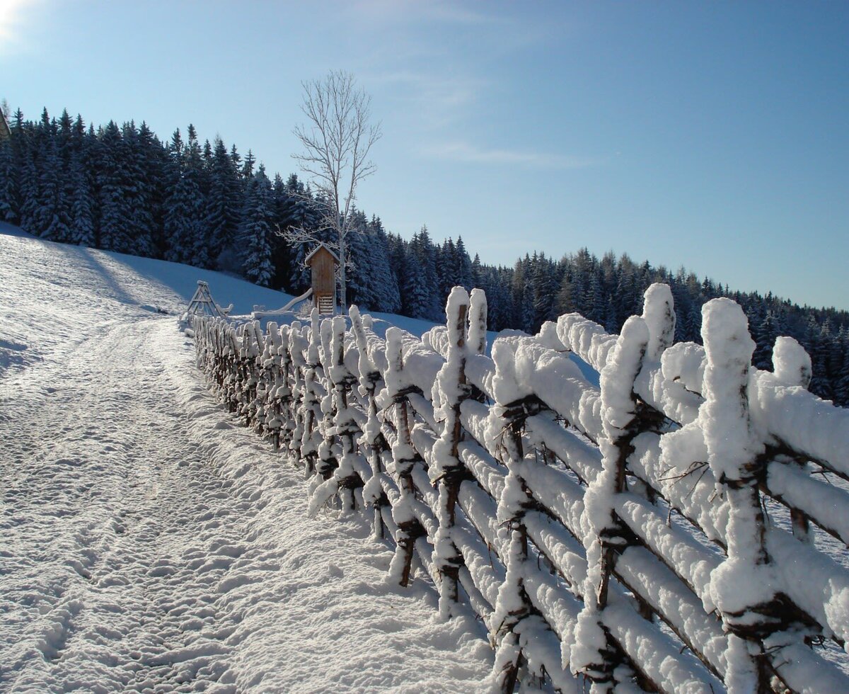 Der selbstgemachte Bänderzaun unter der Schneehaube
