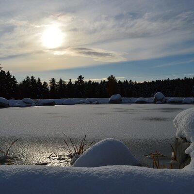 Blick auf den gefrorenen Teich mit Schnee und Wald im Hintergrund am Bauernhof.