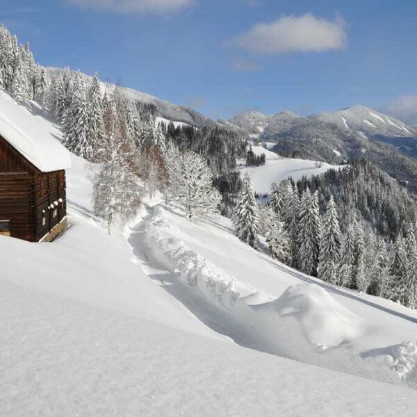Winter auf der Planken