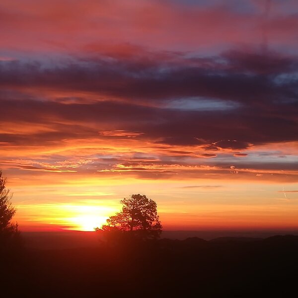 Der Hof bietet einen Ausblick auf den Sonnenuntergang mit farbintensiven Wolken und Baum-Silhouetten.