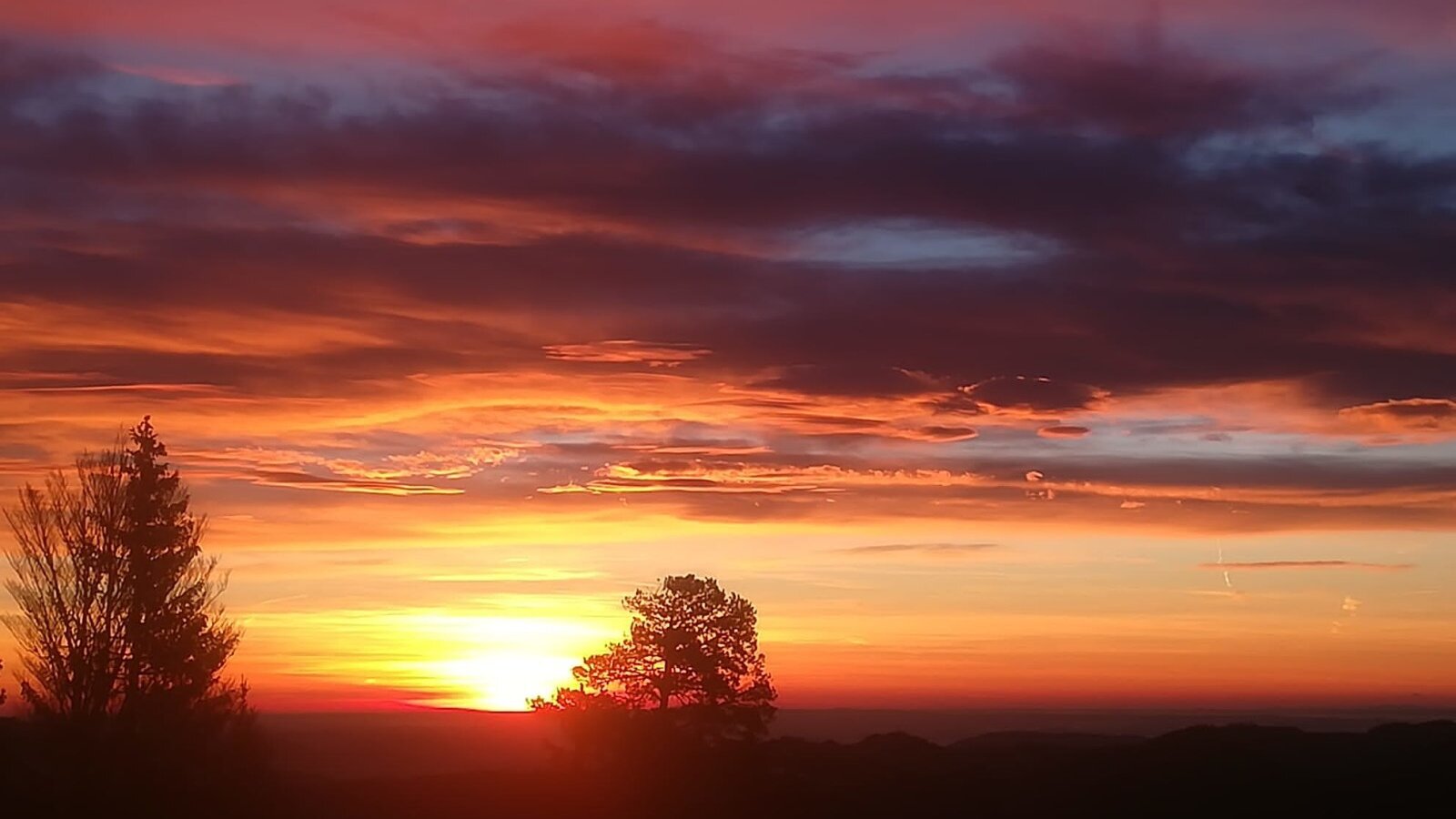 Der Hof bietet einen Ausblick auf den Sonnenuntergang mit farbintensiven Wolken und Baum-Silhouetten.