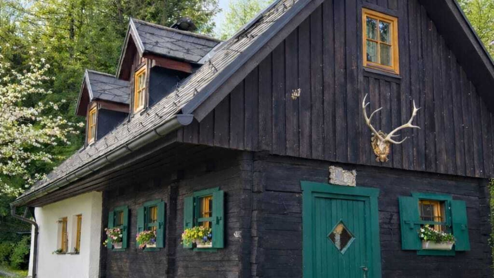 Außenansicht des Bed and Breakfast mit dunkler Holzfassade, weißen Wänden, grünen Fensterläden und einer grünen Eingangstür.