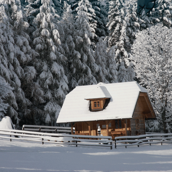 die Köhlerhütte im Winter