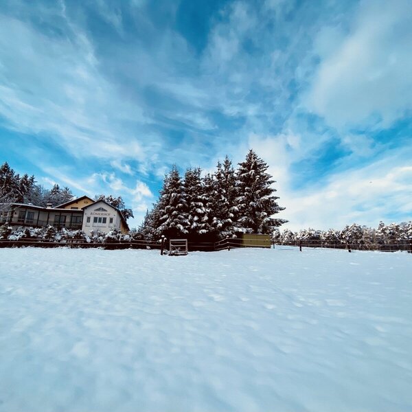 Der verschneite Bauernhof, umgeben von schneebedeckten Bäumen unter blauem Himmel.