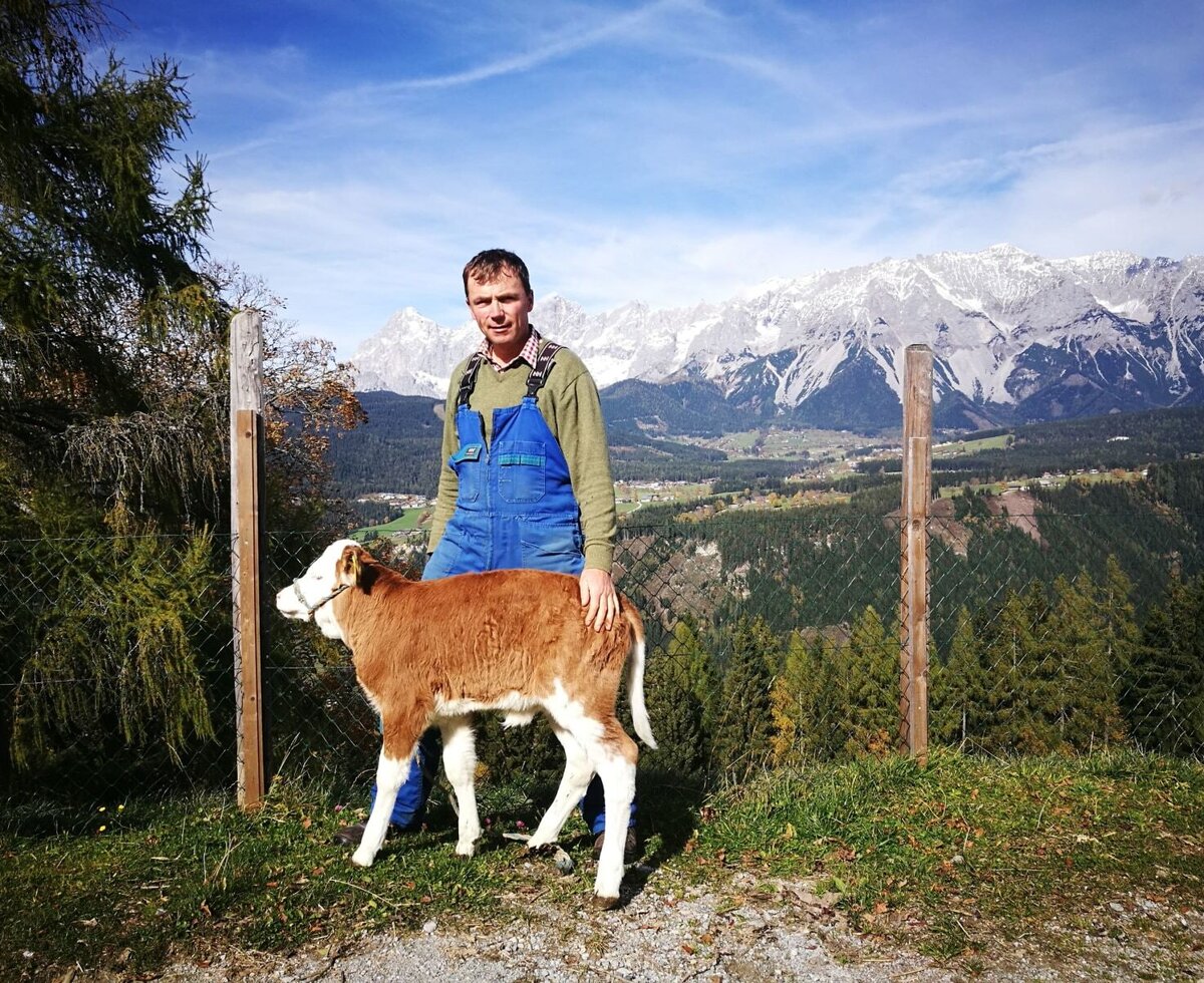 Bauer Hannes mit Kalb Vevi