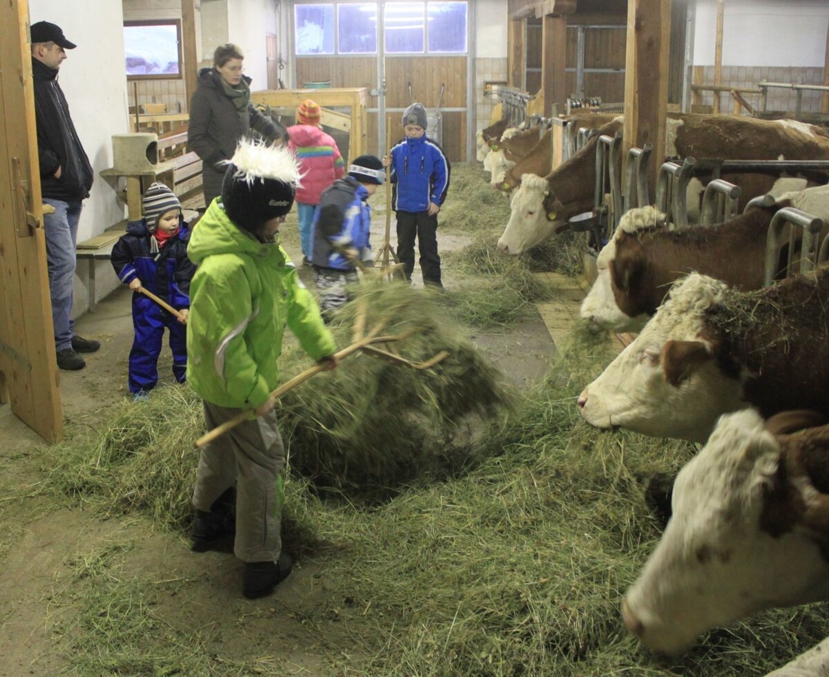 Leckeres Heu für die Tiere
