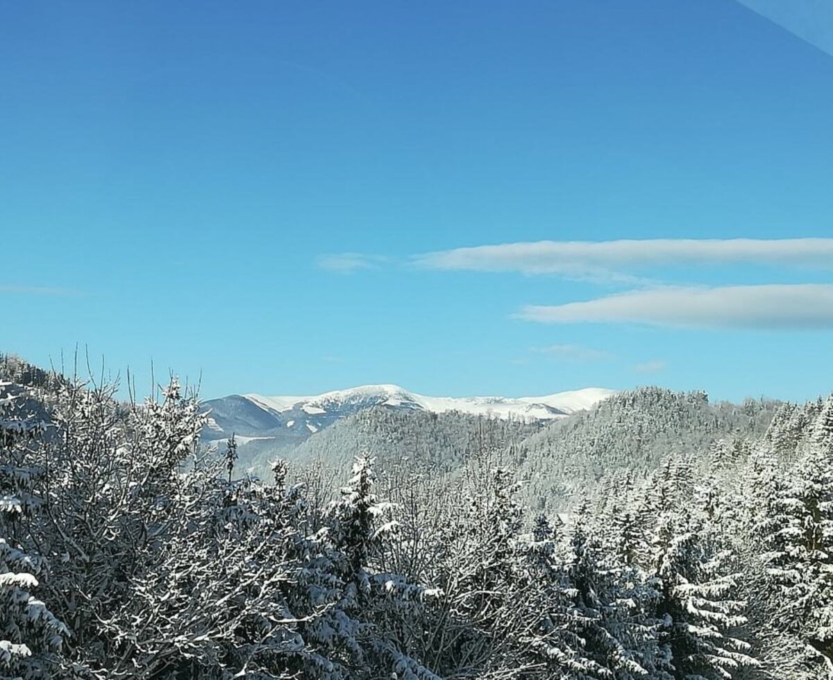 Winter Wunder Welt
