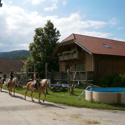 Ausritt mit Pool