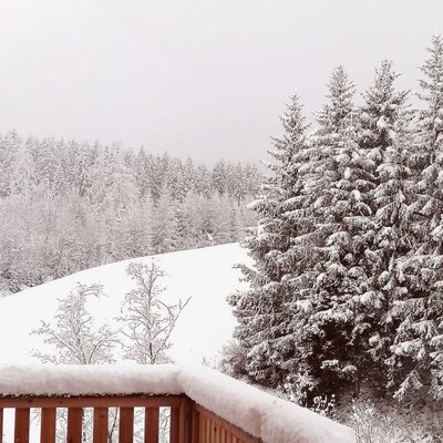 Blick auf einen schneebedeckten Wald und Hang vom Balkon des Bauernhofs.