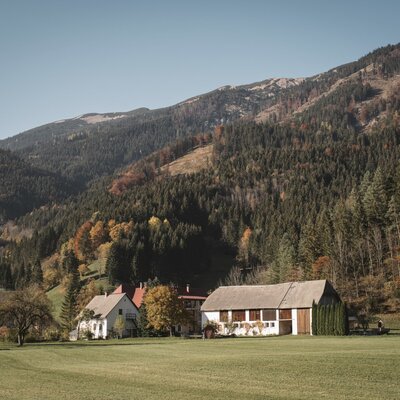Der Bauernhof liegt umgeben von grünen Wiesen und bewaldeten Bergen mit herbstlichem Laub.