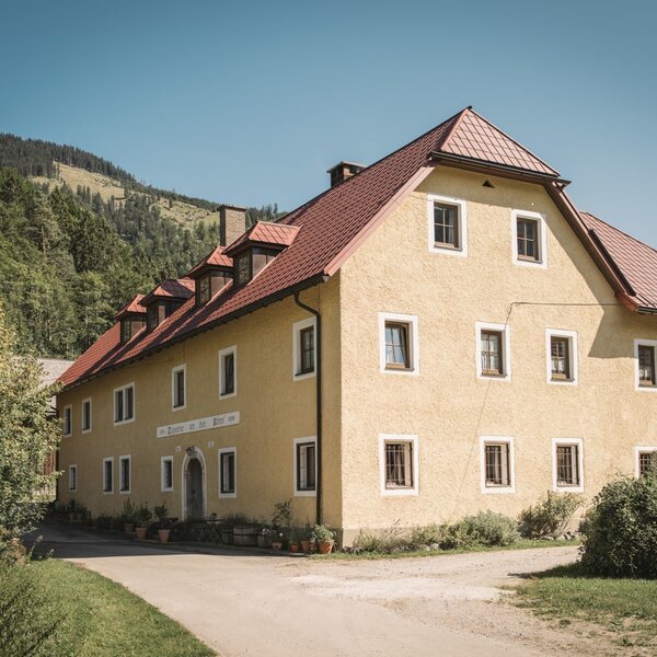 Der Bauernhof, Ihre Unterkunft, mit gelber Fassade, rotem Dach und der umliegenden Natur.