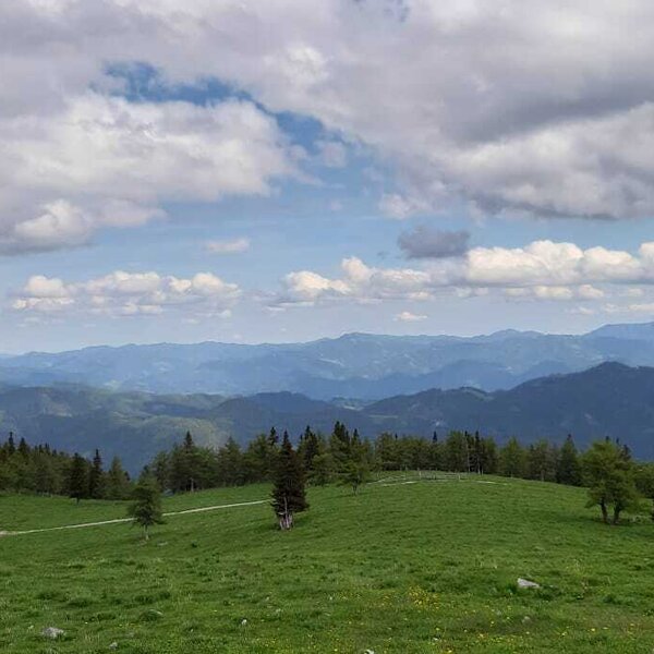 Die Berglandschaft rund um den Hof mit grünen Wiesen und bewaldeten Hügeln.