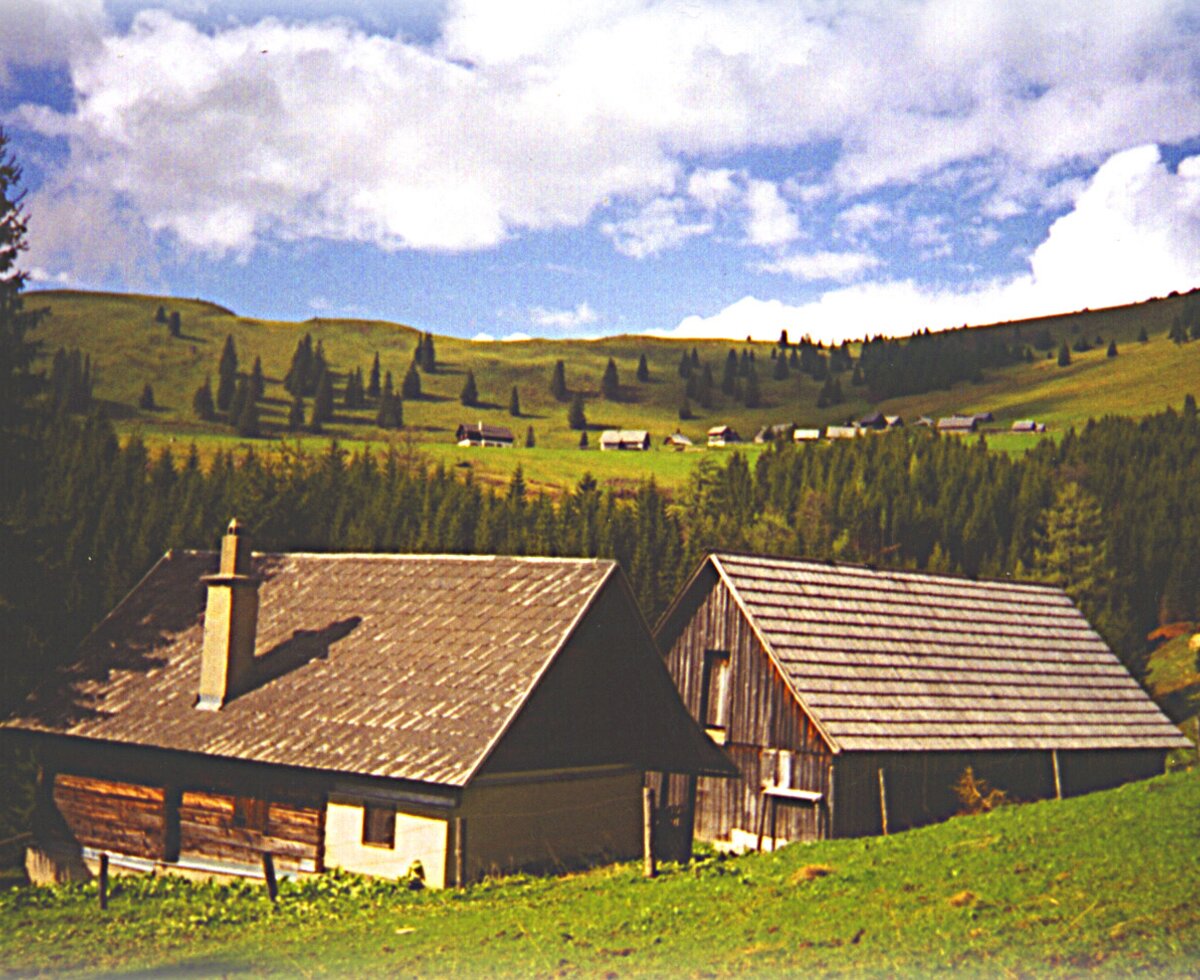 Zwei traditionelle Gebäude des Bauernhofs mit Holzelementen und Schindeldächern vor einer bergigen Landschaft mit Wald und weiteren Almhütten.