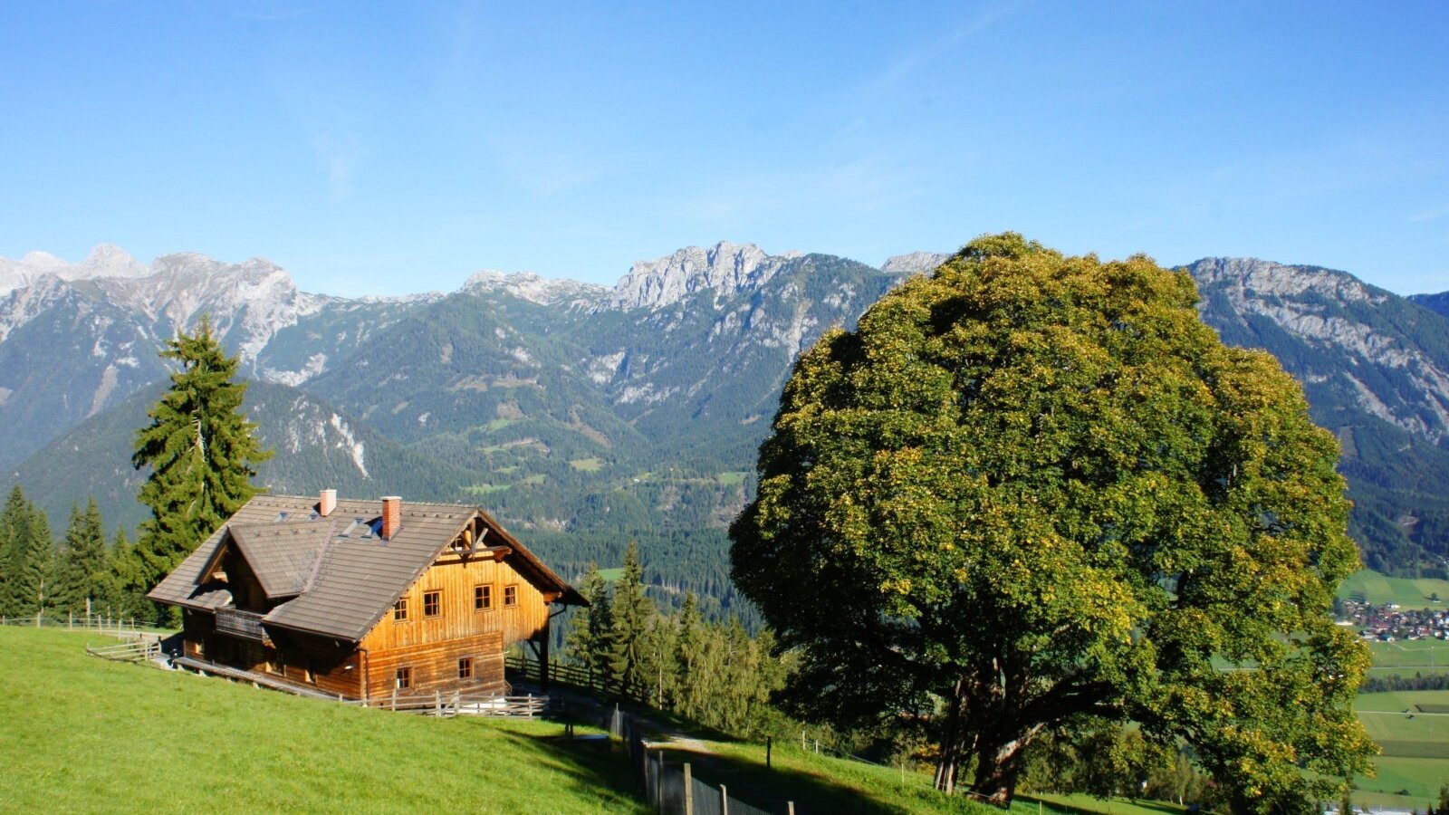 Der Hof mit Bergblick, umgeben von grünen Wiesen und einem großen Baum.