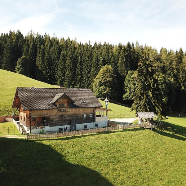 Die Almhütte von der Außenseite, idyllisch gelegen auf einen grasbewachsenen Hügel mit Wald im Hintergrund.