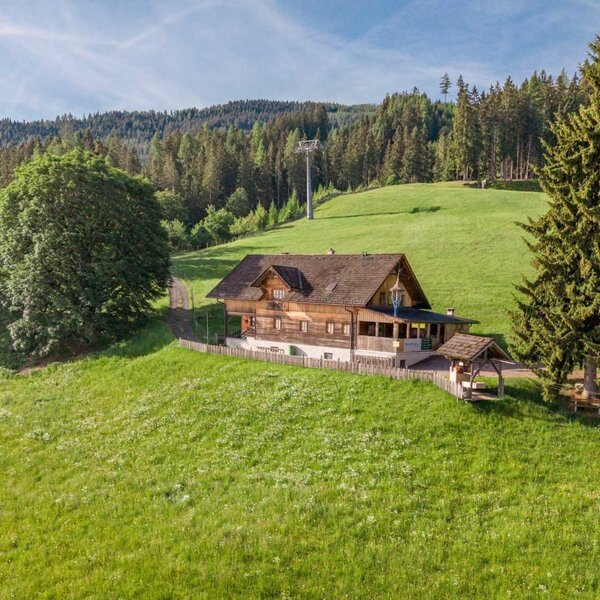 Die Selbstversorgeralm eingebettet in einen üppig grünen Hang, umgeben von Wald und Wiesen.