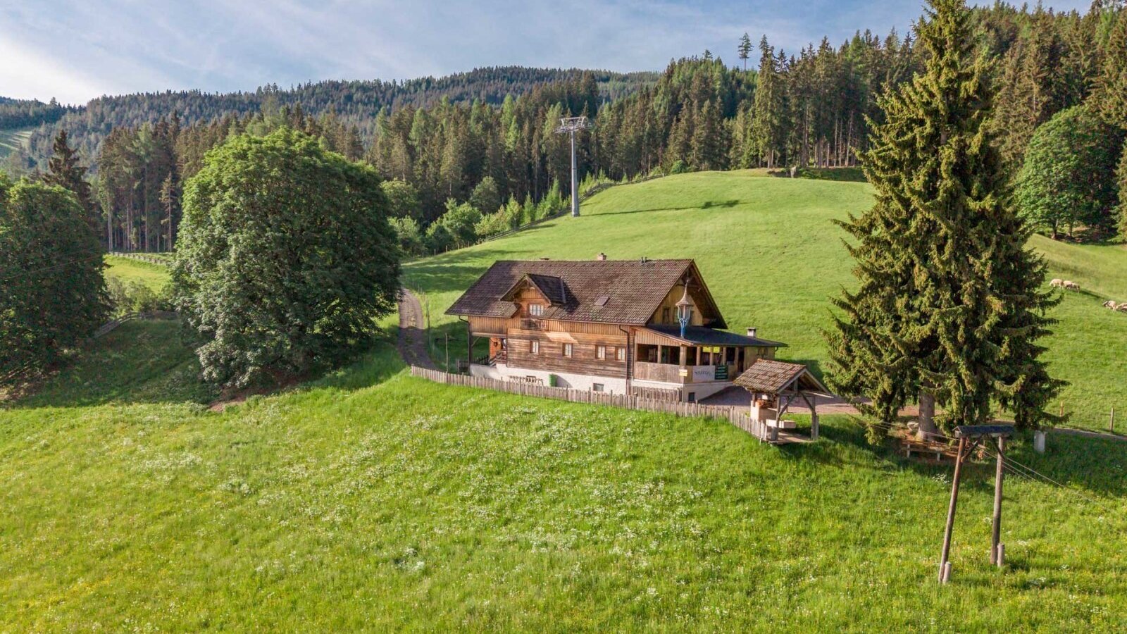 Die Selbstversorgeralm eingebettet in einen üppig grünen Hang, umgeben von Wald und Wiesen.