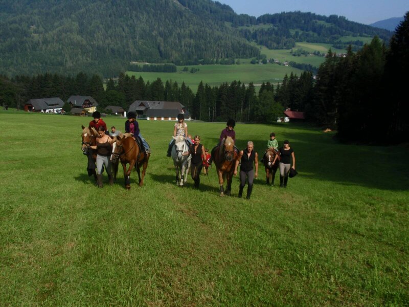 Pferdewanderung