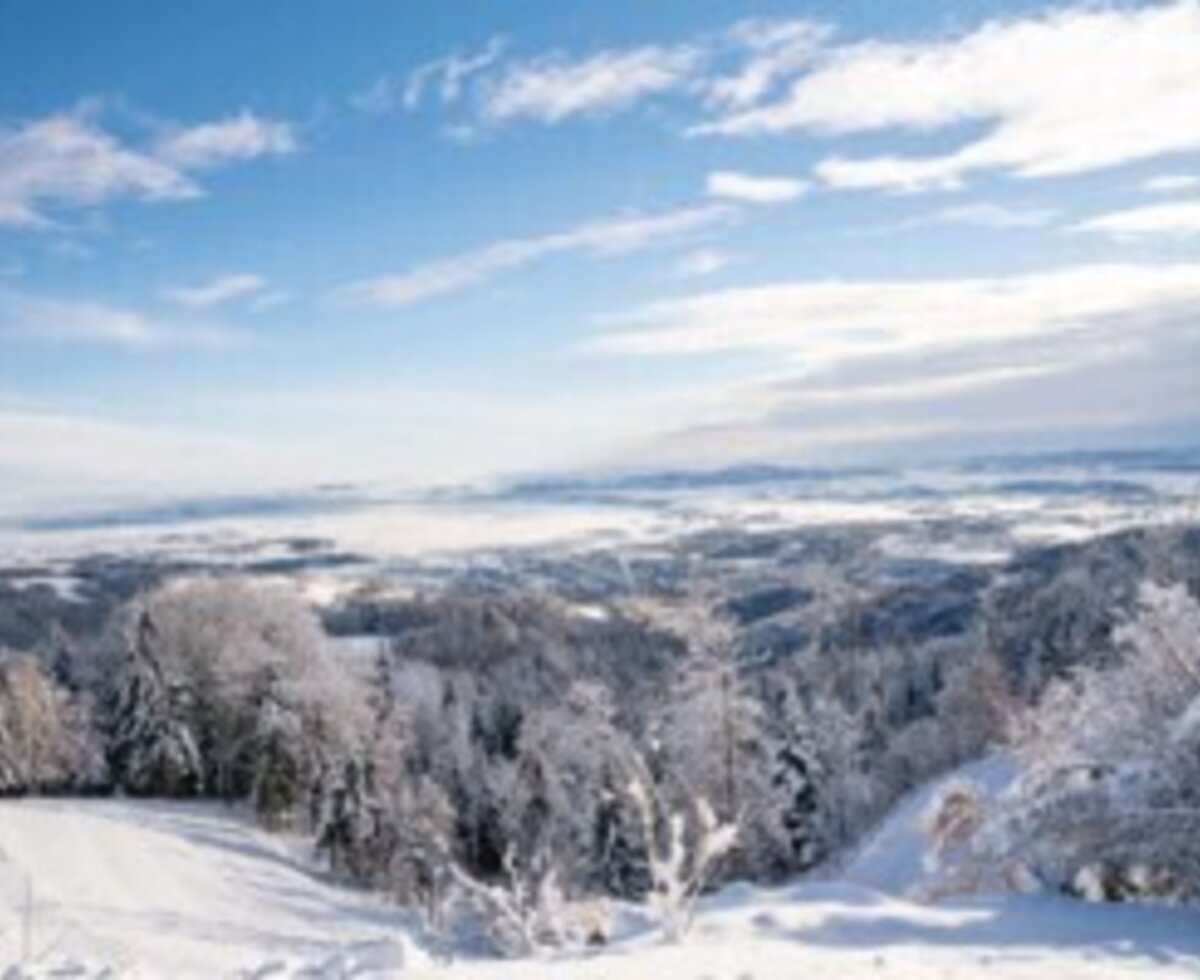 Malerischer Ausblick vom Ferienhaus auf die tief verschneite Winterlandschaft und die umliegenden Wälder unter blauem Himmel.