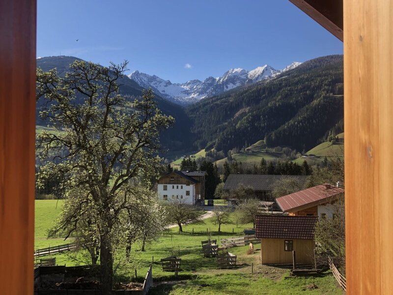 Aussicht vom Bauernhof auf das Tal mit grünen Wiesen, einzelnen Häusern und schneebedeckten Bergen.
