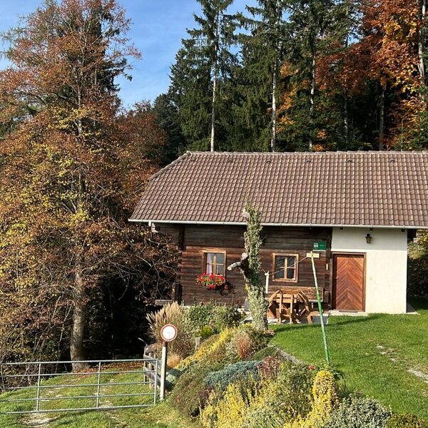 Die Hütte von außen, umgeben von Bäumen und einer Grünfläche.