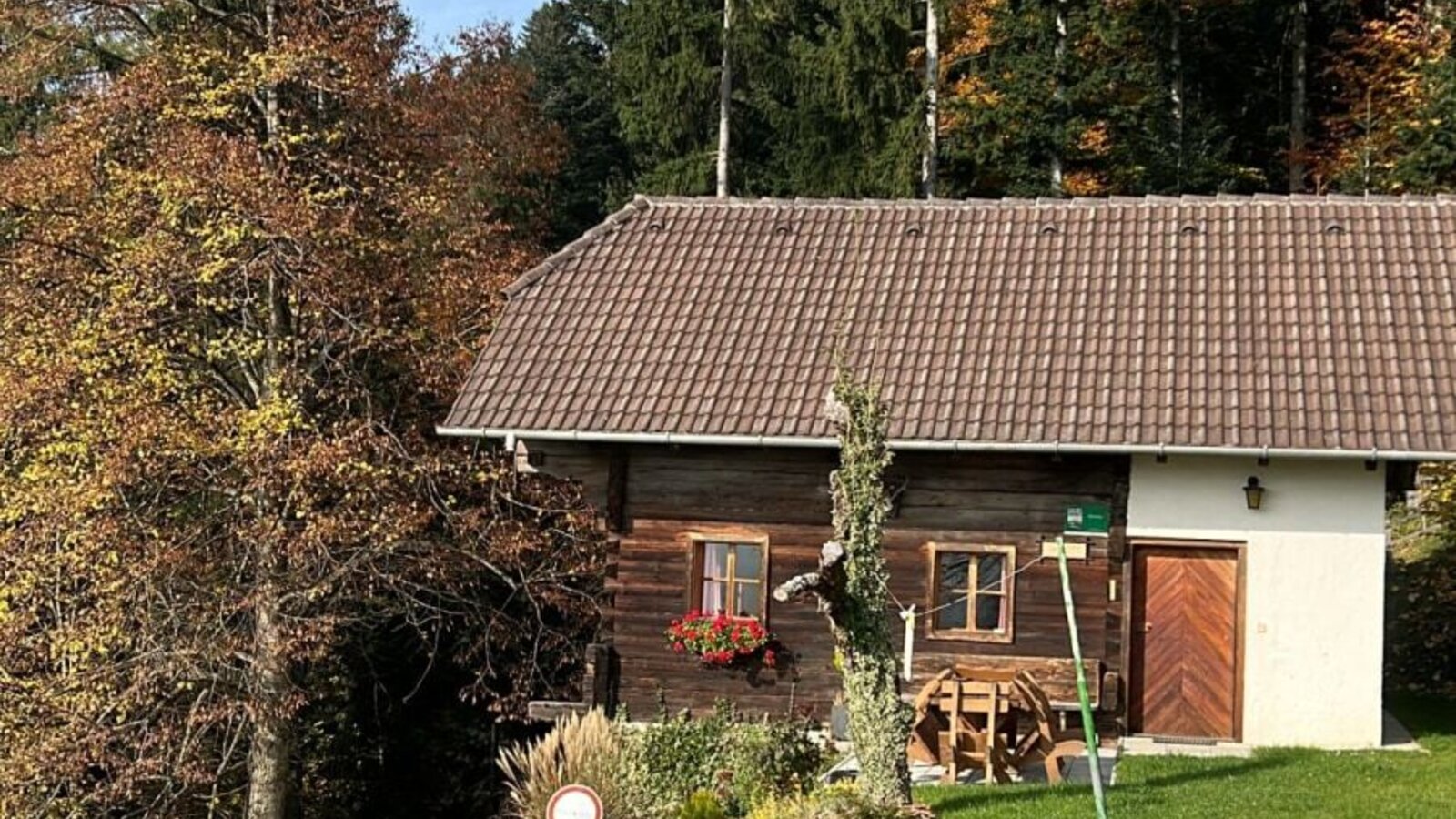 Die Hütte von außen, umgeben von Bäumen und einer Grünfläche.