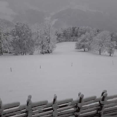 Blick vom Hof auf die verschneite Winterlandschaft mit Bäumen, Feldern und einem Holzzaun im Vordergrund.