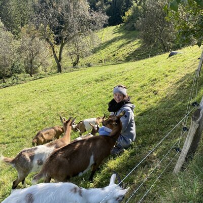 Ziegen auf der Weide