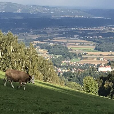 Ausblick ins Sulmtal