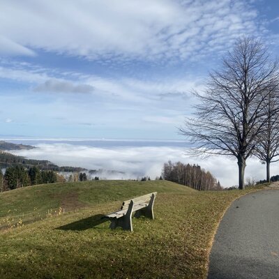 Aussichtsbankerl am Hof