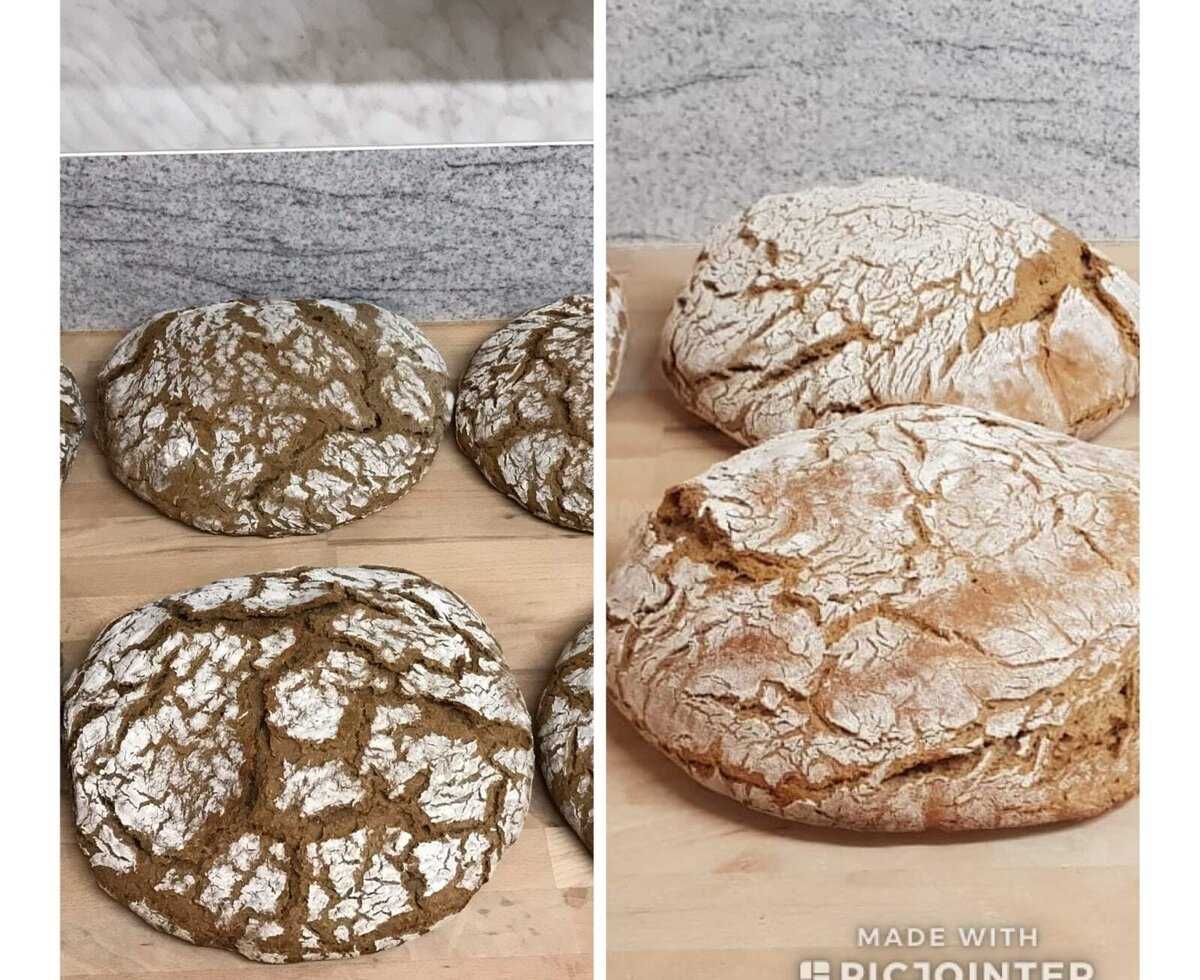 Bauernbrot mit Sauerteig