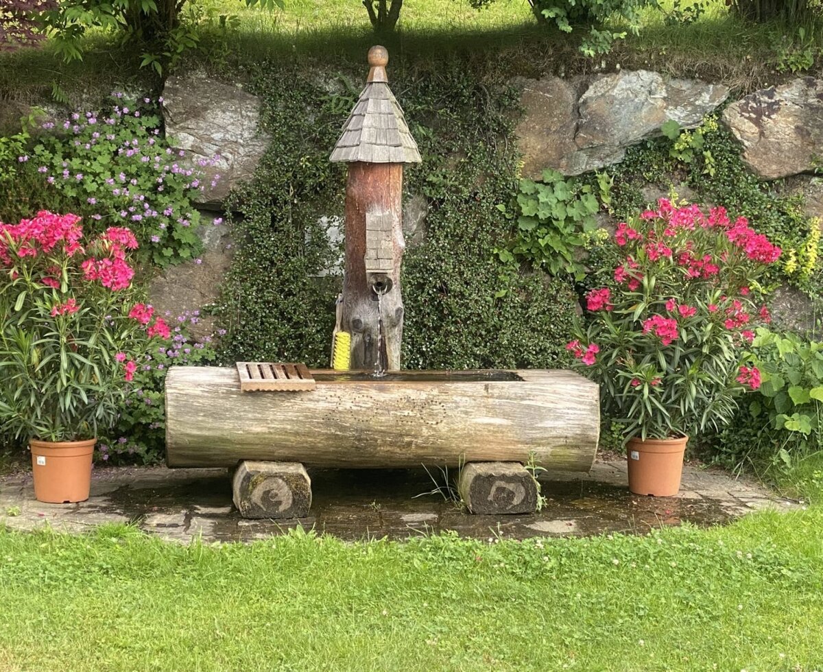 Ein traditioneller Holzbrunnen auf dem Bauernhof, umgeben von Pflanzen und einer Steinmauer.