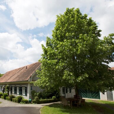 Unser Lindenhof Unser Lindenhof