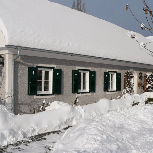 Lindenhof im Winter