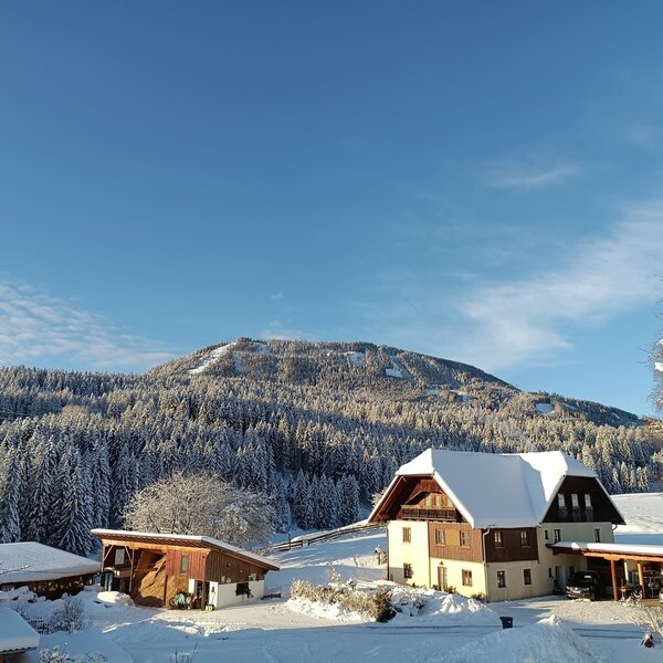 Der Spathof im Winter