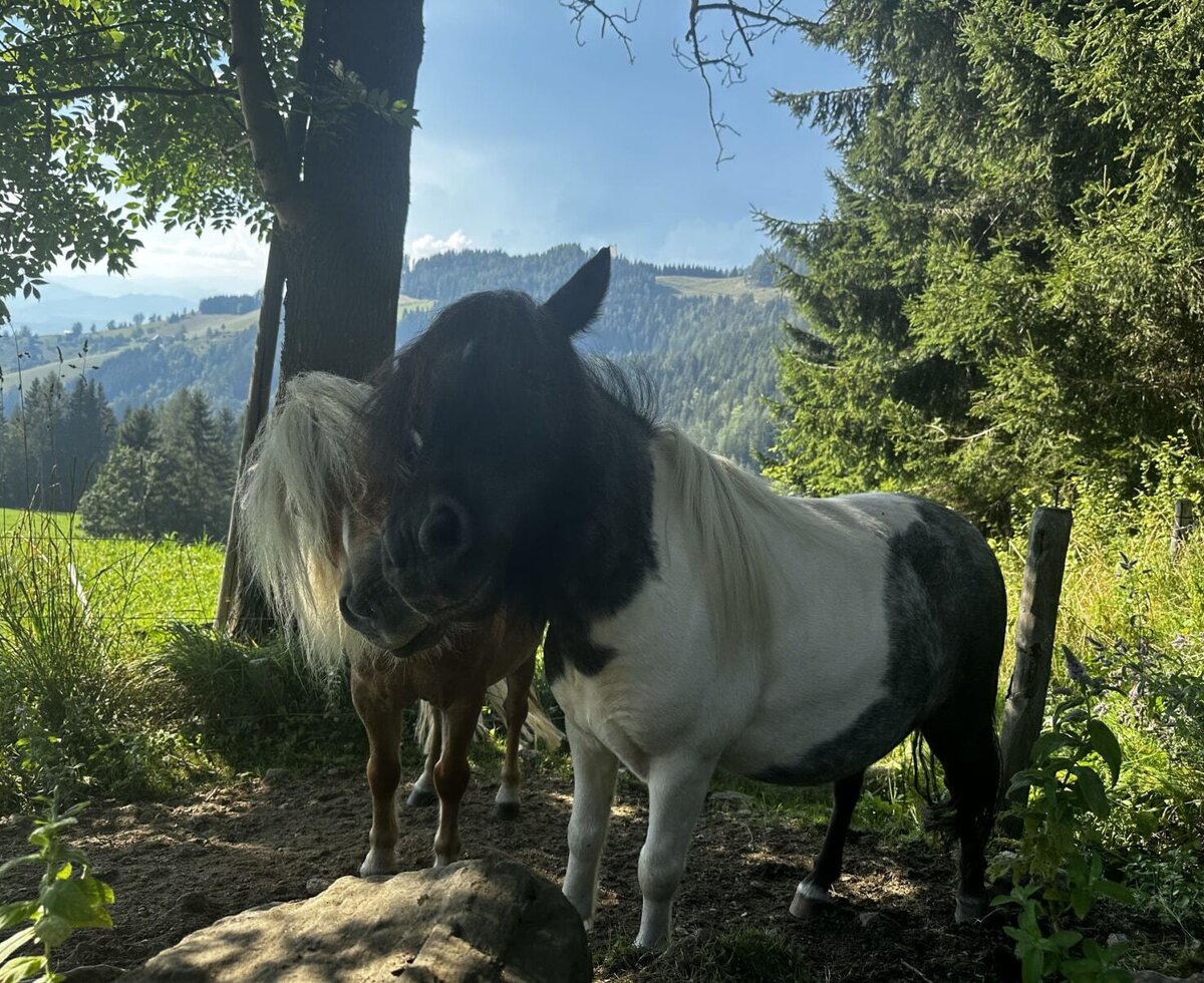 Jasmin und Wendy
