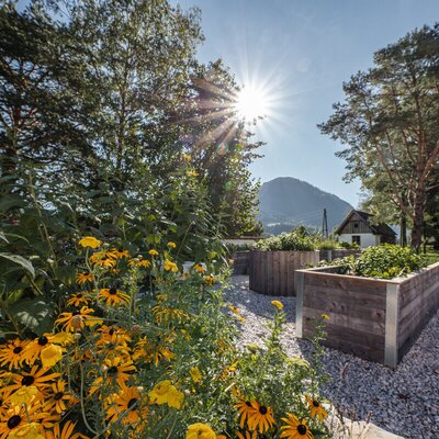 Der Garten des Bauernhofs mit Hochbeeten, gelben Blumen, einem Schotterweg und Bergblick.