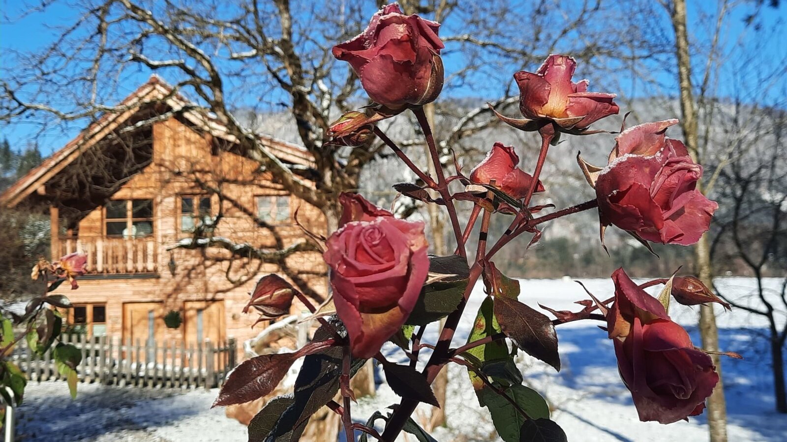 Ferienhaus im Winter