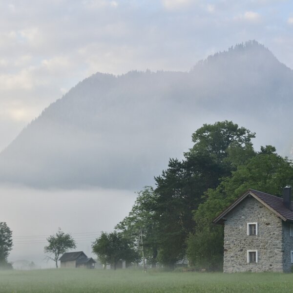 Morgennebel runf ums Ferienhaus
