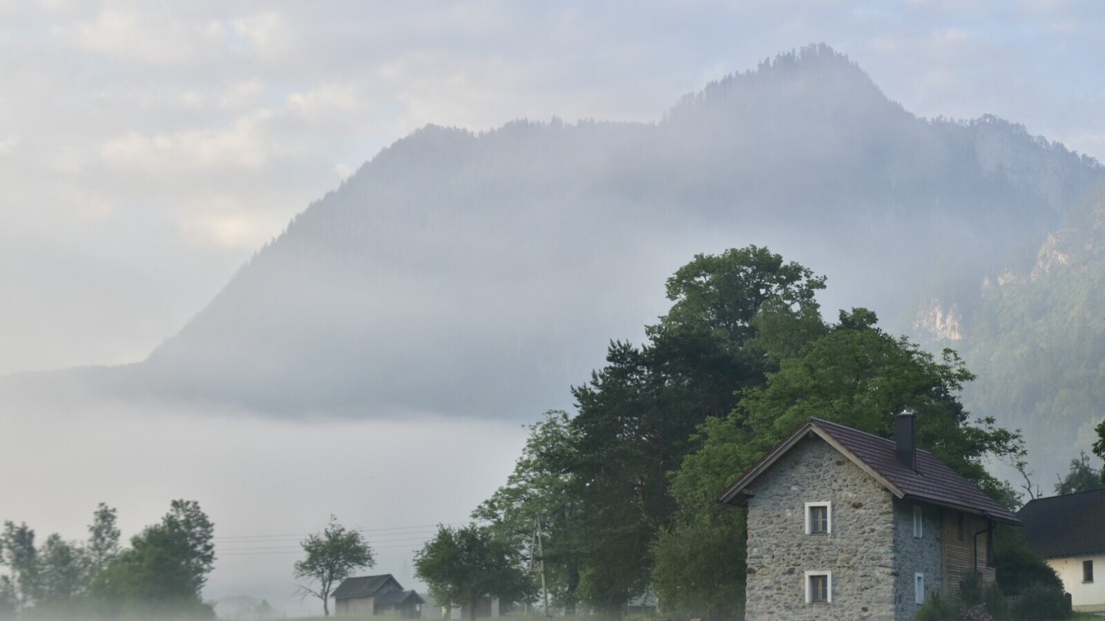 Morgennebel runf ums Ferienhaus