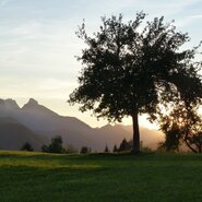Spazierweg mit Blick ins Gesäuse
