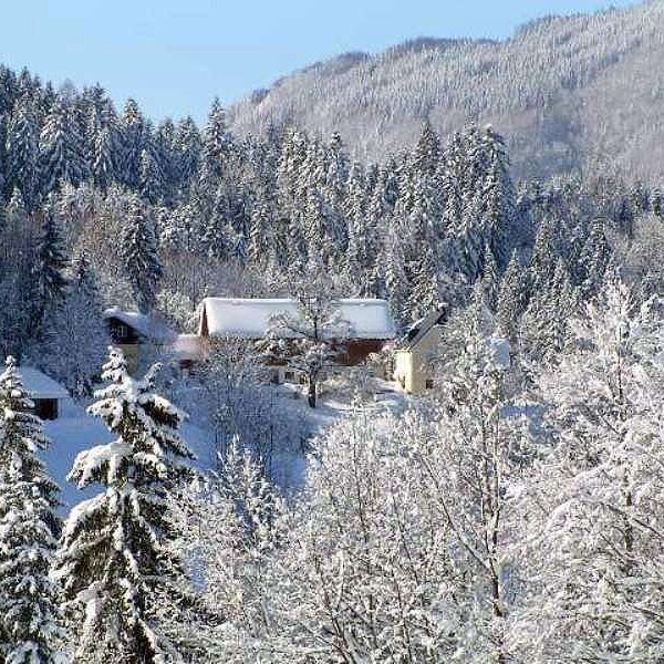 Der Bauernhof in seiner winterlichen Einzellage, umgeben von verschneiten Wäldern und Bergen.