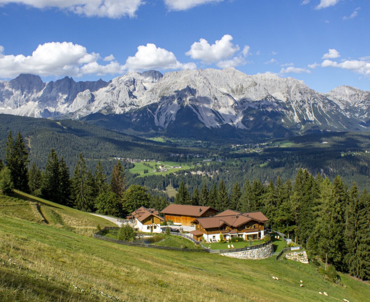 Stegerhof Panorama