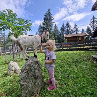 Zwei kleine Gipfelstürmer