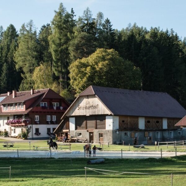 Herzlich Willkommen am Steinerhof