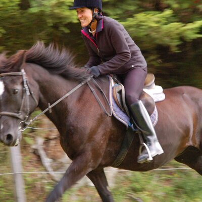 Ausritt im Galopp